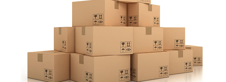 Packers & Movers/Courier Services